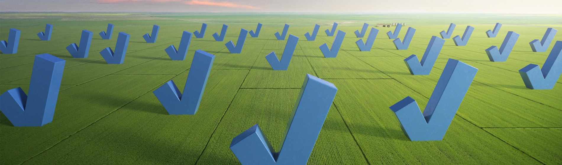 checkmarks in field