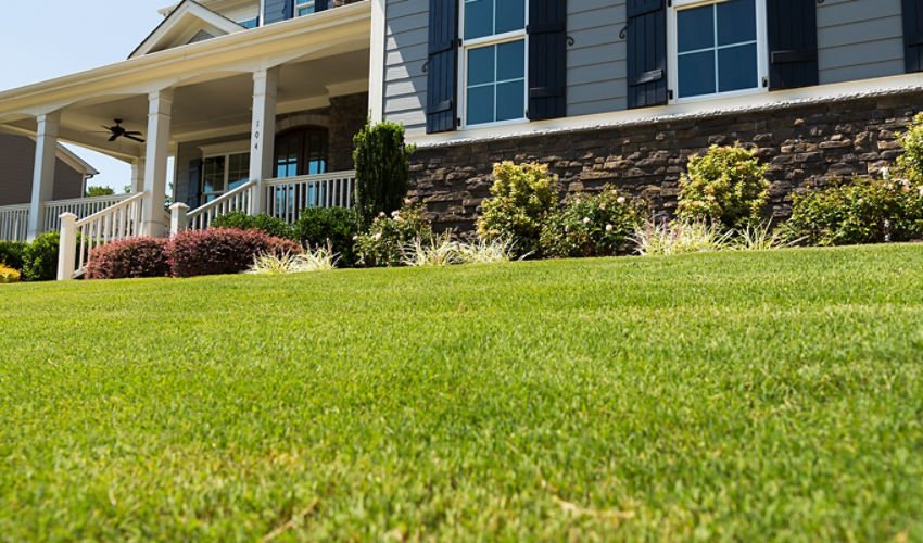 Cut grass with house in the background