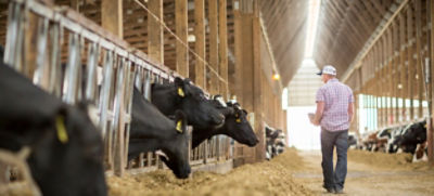 The Silage Zone® resource