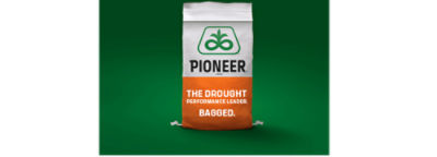 Drought performance leader.