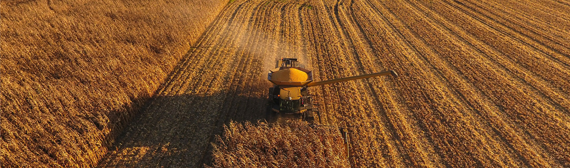 Cambio climático, meteorología y agricultura sostenible