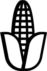 Maize
