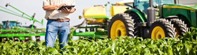 Farmer in corn field