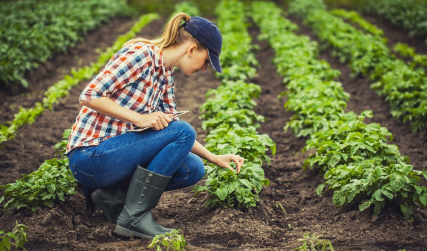 woman crouching in a field