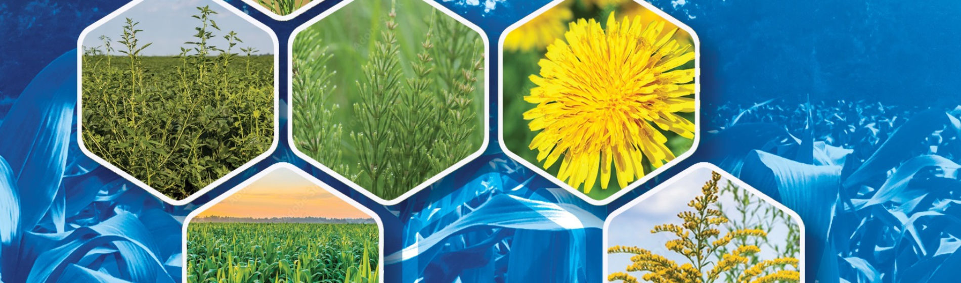 corteva field guide app cover