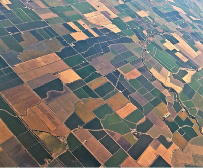 Farm field Squares