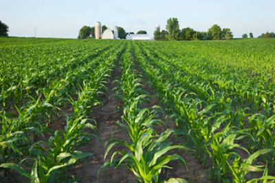 LumiGEN® Seed Treatments