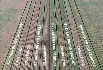Side by side field comparisons