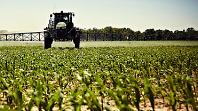 Sprayer in early emerging corn