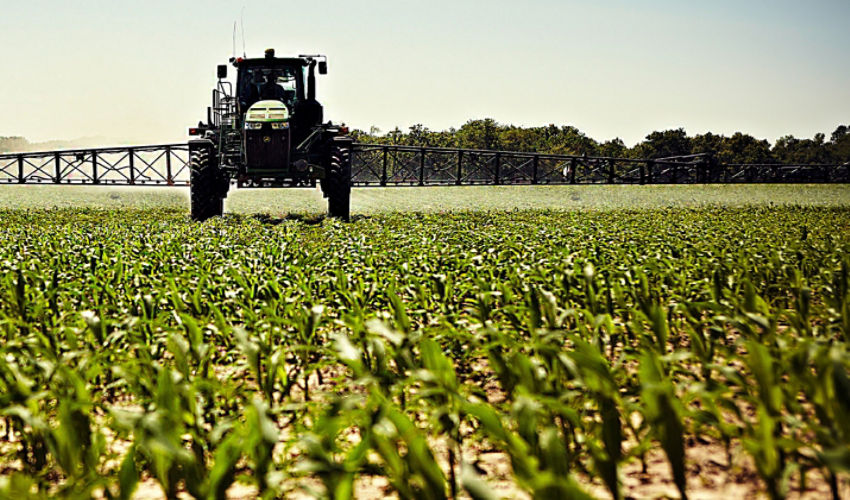 Sprayer in early emerging corn