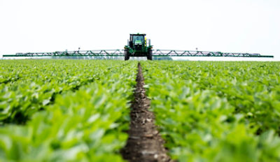 Sprayer in soybeans, front view, horizon