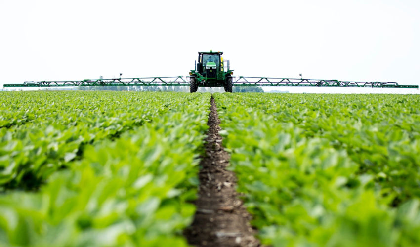 Sprayer in soybeans, front view, horizon
