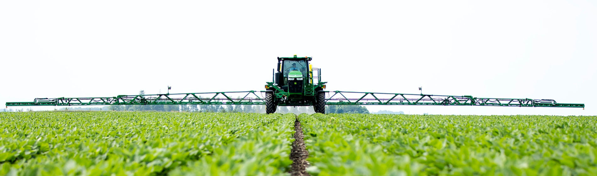 Sprayer in soybeans, front view, horizon