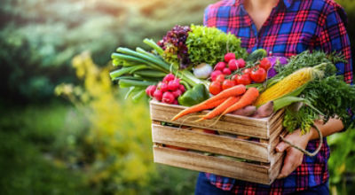 woman carrying wooden crate of carrots, corn, tomatoes, onions, assorted greens
