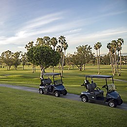 Image of golf carts on golf course path