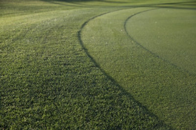 Image of close up of putting green collar