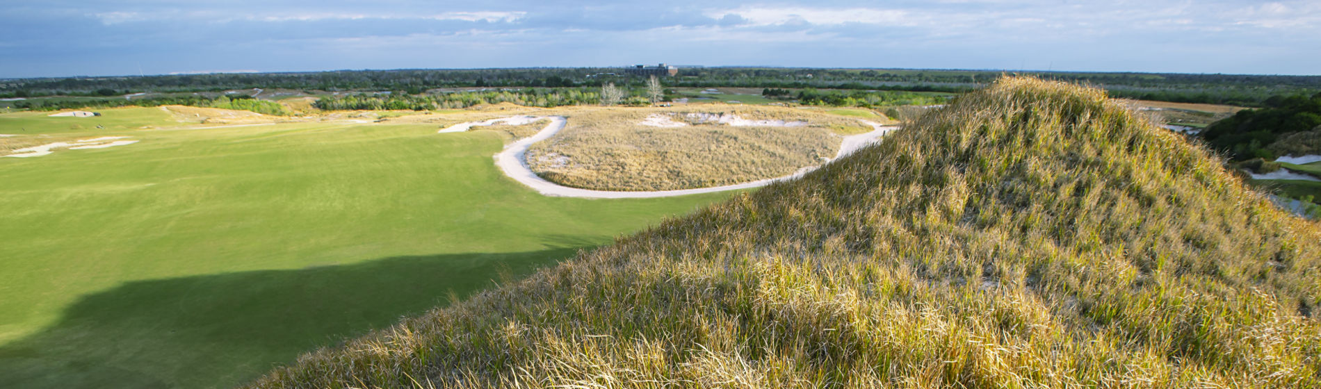 Golf course long grass rough