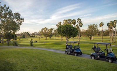 Golf hole with two golf carts and tress in the distance