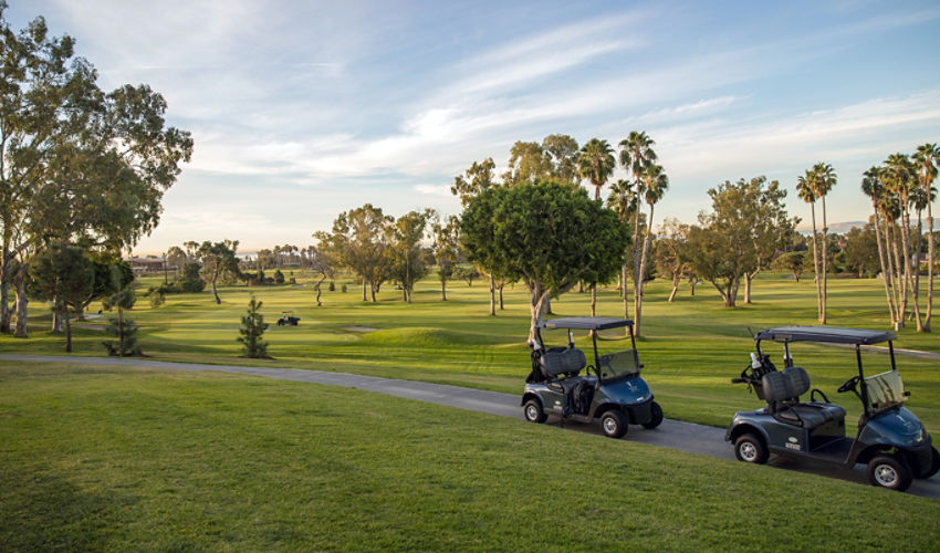 Golf hole with two golf carts and tress in the distance