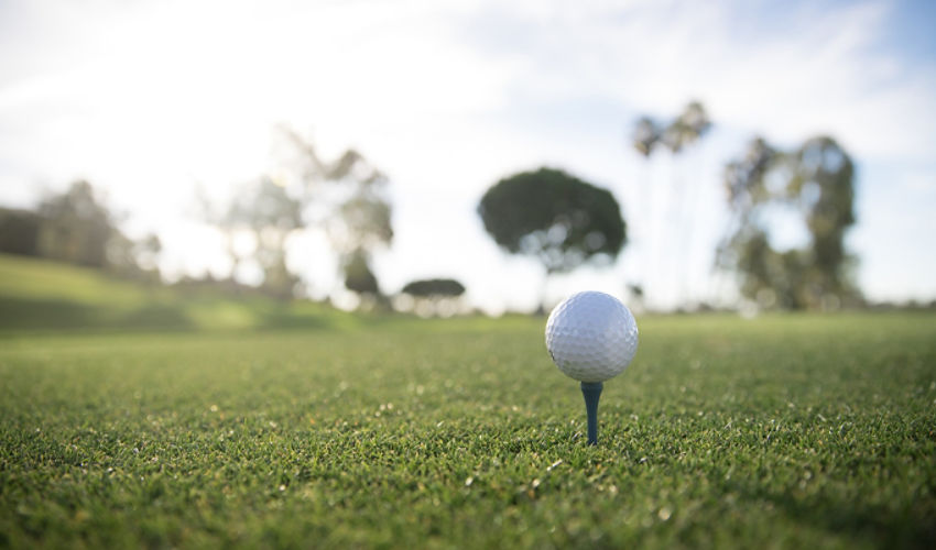 Tee box with a golf ball on a tee with trees in the background