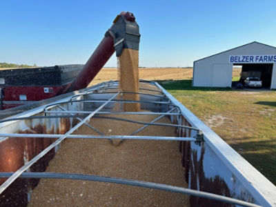 Harvest at Belzer Farms, south central Iowa - farm equipment - blue sky