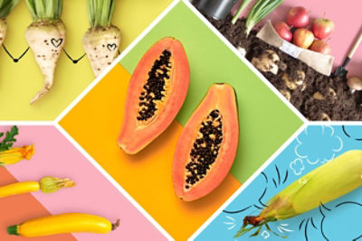 Five images of the best blogs from Plate-Wise. Blogs cover GMO topics, healthy eating and home gardening.