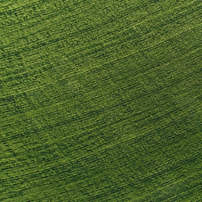 Green Field