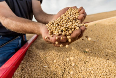 Next-level Agronomics and Yield Potential