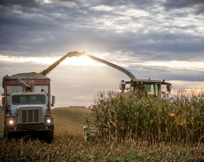 Brown Midrib (BMR) Products