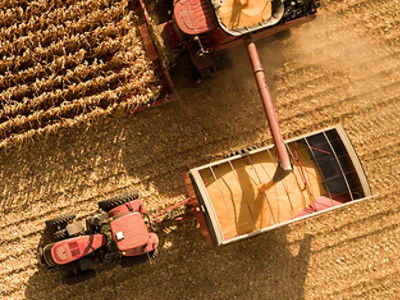Harvest at sunset