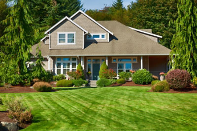 Healthy lawn and ornamental beds