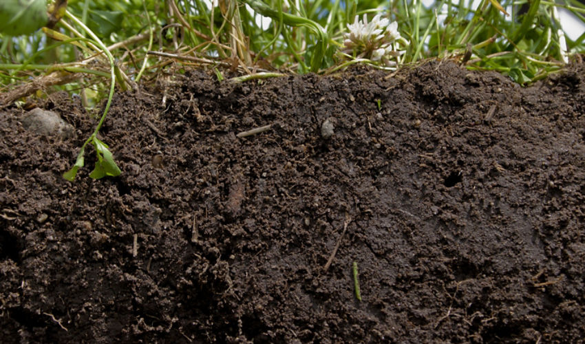 Healthy soil