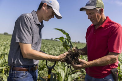Seed and Seedling Diseases of Corn