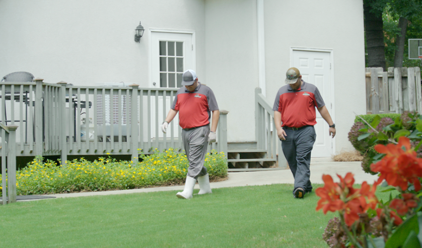 Landscape professionals walking in backyard