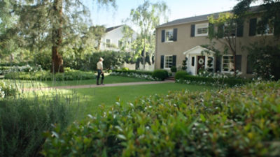 Lawncare person maintaining yard 