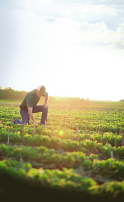 Produkty biologiczne