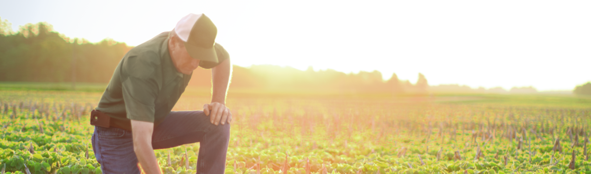 Man kneeling in field