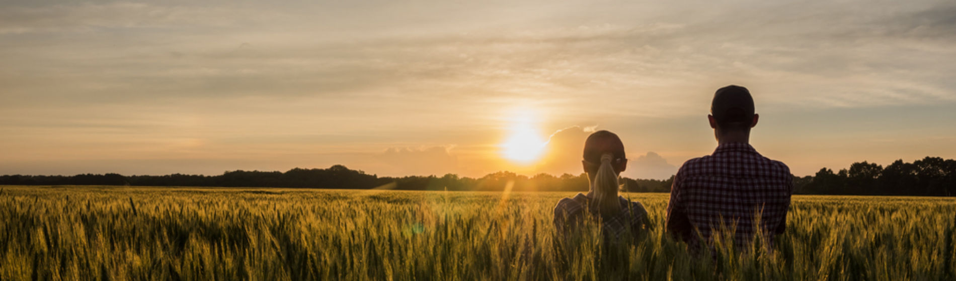 man and woman standing in wheat field and staring at the sunset
