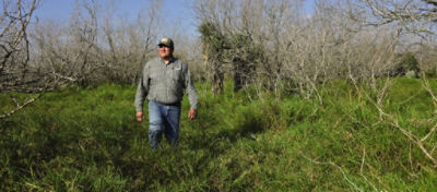 Man walking through overgrown brush