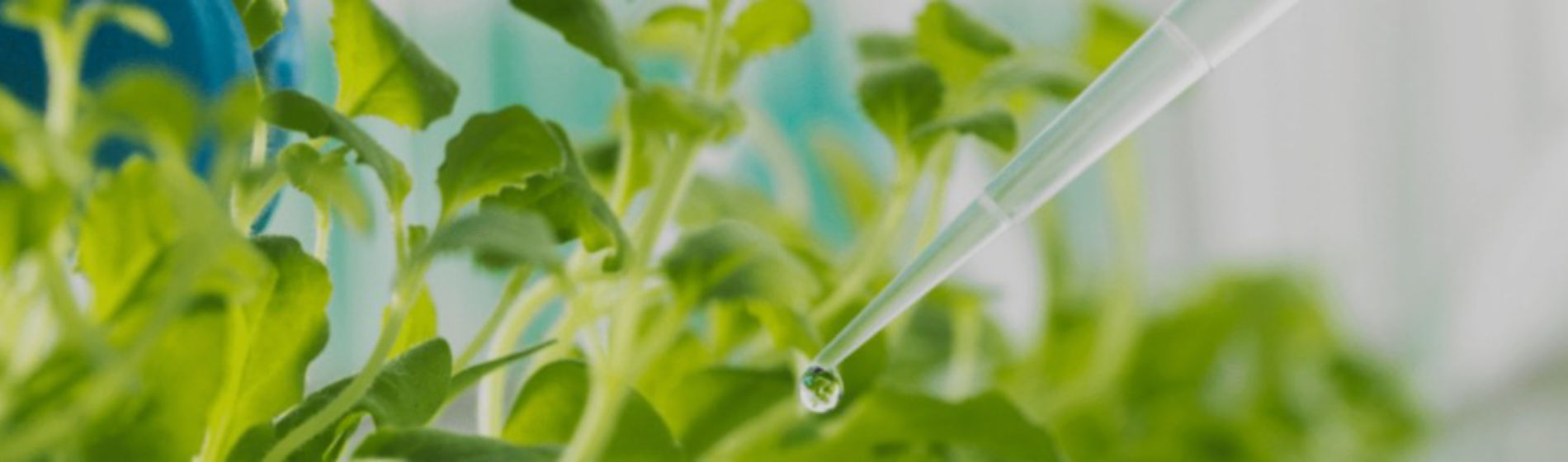 IMG-media-center-Corteva-LA-BR-V1