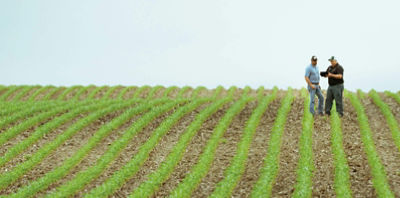 Become an Independent Pioneer Sales Professional.