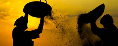 silhouette men working