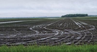 Nitrogen loss