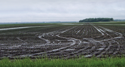 Nitrogen loss