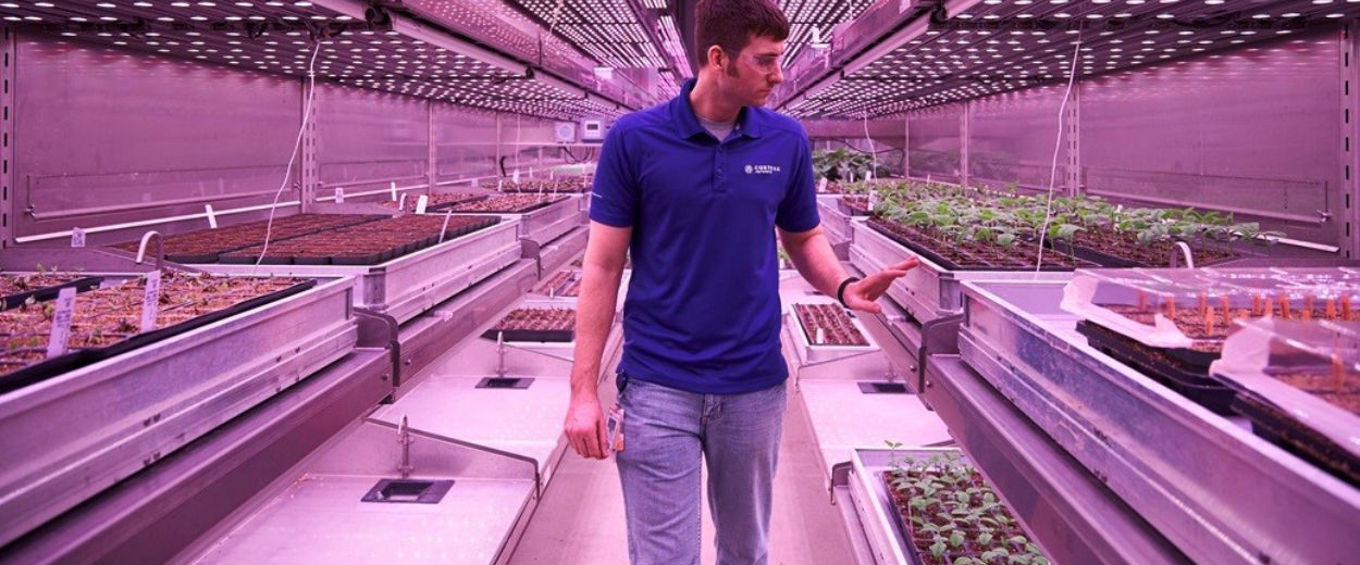 A man in a blue polo shirt walks between rows of plants in an indoor vertical farming facility. He a