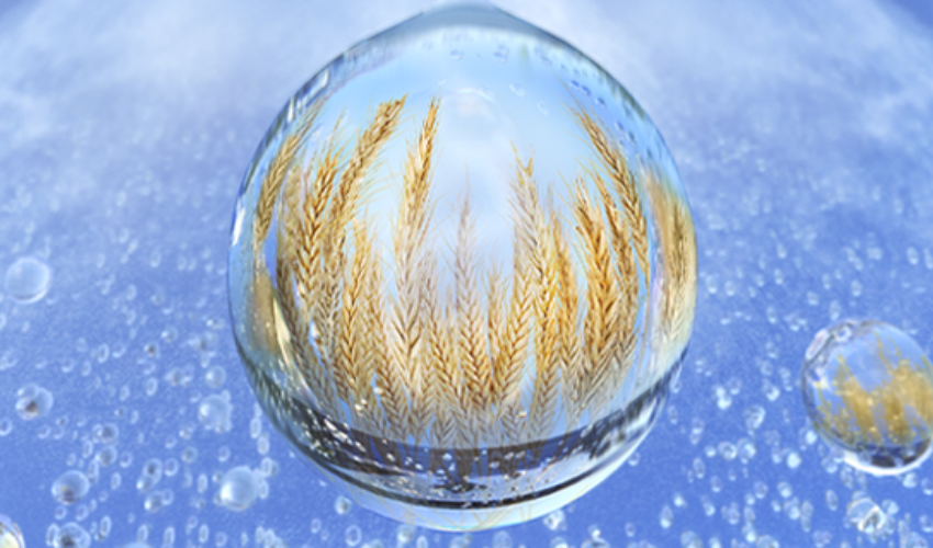 water droplet