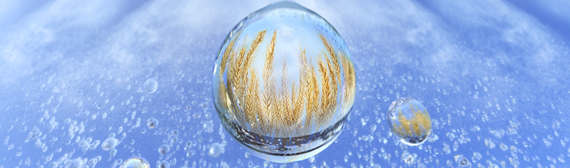 brand creative for ondeck