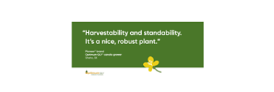 Harvestability and standability. It’s a nice, robust plant
