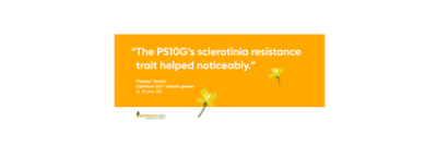The P510G’s sclerotinia resistance trait helped noticeably.