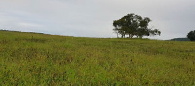 Pecuarista destaca eficácia e economia alcançadas com a Tecnologia Ultra-S